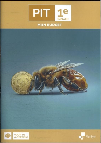 Afbeelding van PIT PIT 1e graad Mijn budget Leerwerkboek