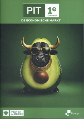 Afbeeldingen van PIT 1e graad de economische markt Leerwerkboek