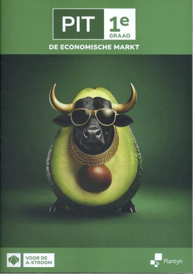 Afbeelding van PIT 1e graad de economische markt Leerwerkboek