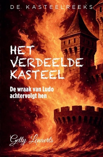 Afbeelding van De Kasteelreeks 2