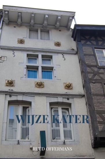 Afbeelding van Wijze kater