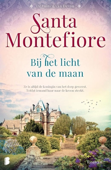 Afbeelding van Bij het licht van de maan