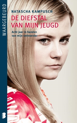Afbeeldingen van De diefstal van mijn jeugd