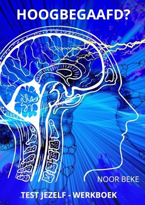 Afbeeldingen van HOOGBEGAAFD?