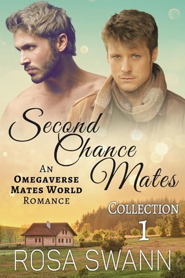 Afbeelding van Second Chance Mates Collection 1