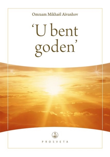Afbeelding van Synopsis 'U bent goden'