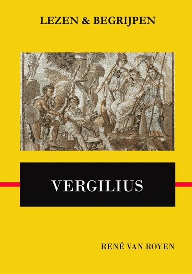 Afbeelding van Lezen en begrijpen: Vergilius' Aeneis