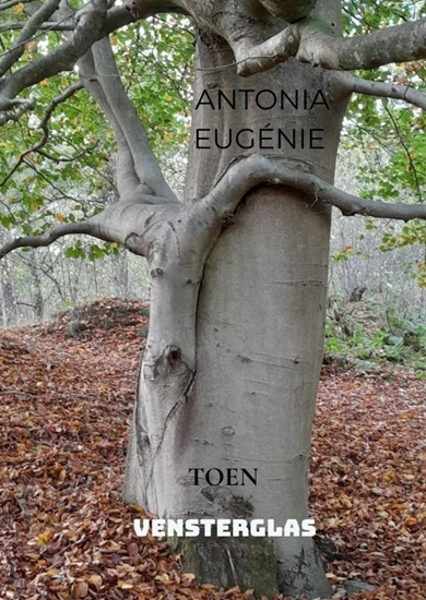 Afbeelding van VENSTERGLAS