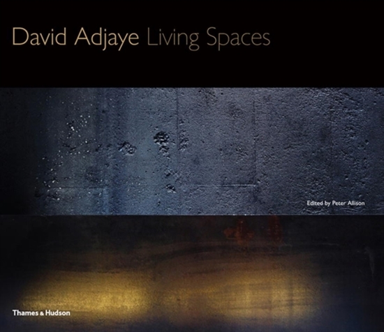 Afbeelding van David Adjaye