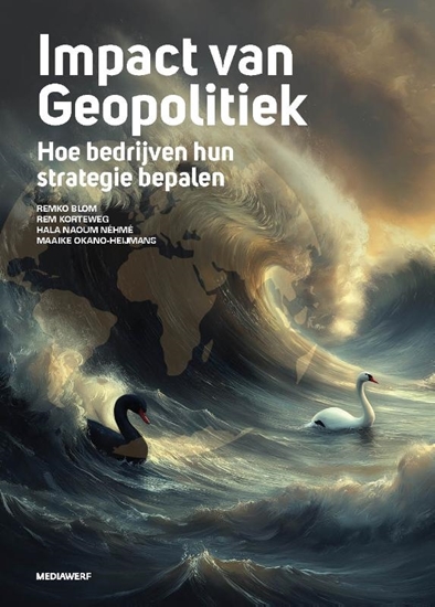 Afbeelding van Impact van Geopolitiek