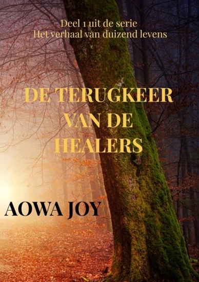 Afbeelding van De terugkeer van de healers