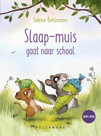 Afbeelding van Slaap-muis gaat naar school
