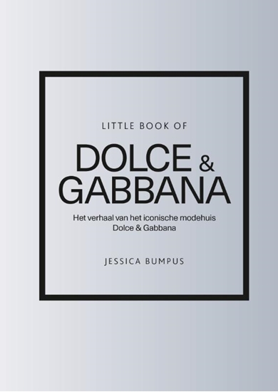 Afbeelding van Little Book of Dolce & Gabbana