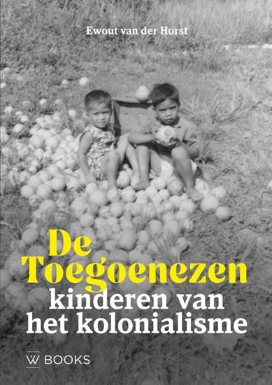 Afbeelding van De Toegoenezen
