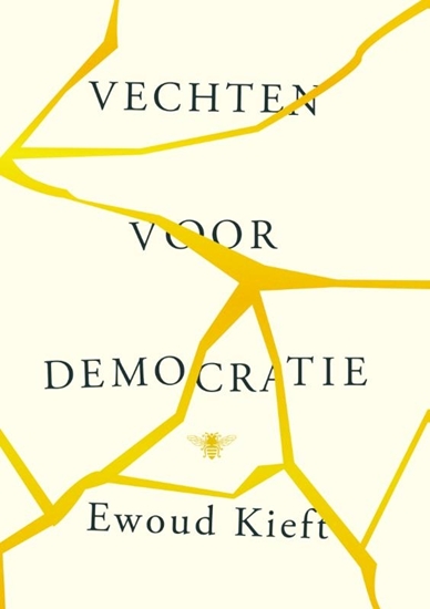 Afbeelding van Vechten voor democratie