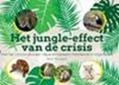 Afbeeldingen van Het jungle-effect van de crisis