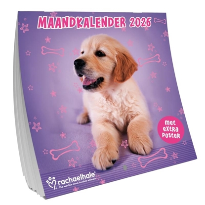 Afbeeldingen van Rachel Hale maandkalender 2026