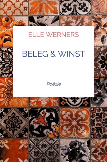 Afbeelding van BELEG & WINST