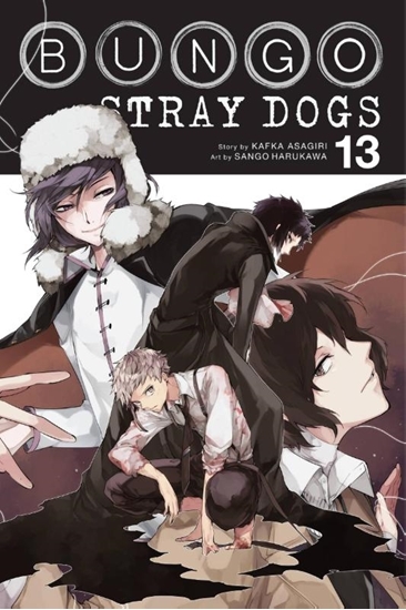 Afbeelding van Bungo Stray Dogs Bungo Stray Dogs, Vol. 13