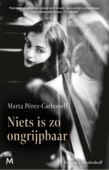 Afbeelding van Niets is zo ongrijpbaar