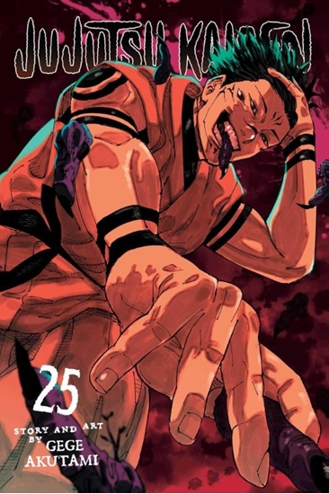 Afbeelding van Jujutsu Kaisen Jujutsu Kaisen, Vol. 25