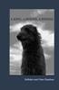 Afbeelding van A king, a hound, a riddle