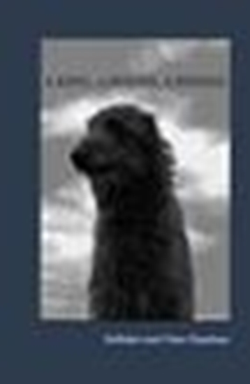 Afbeelding van A king, a hound, a riddle