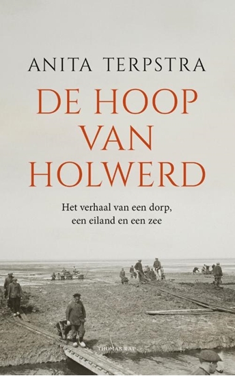 Afbeelding van De hoop van Holwerd