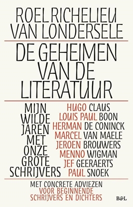 Afbeeldingen van De geheimen van de literatuur