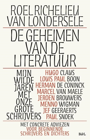 Afbeelding van De geheimen van de literatuur