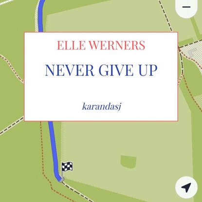 Afbeeldingen van NEVER GIVE UP