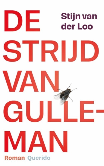 Afbeelding van De strijd van Gulleman