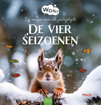 Afbeeldingen van Wow! De vier seizoenen. De magie van elk jaargetijde