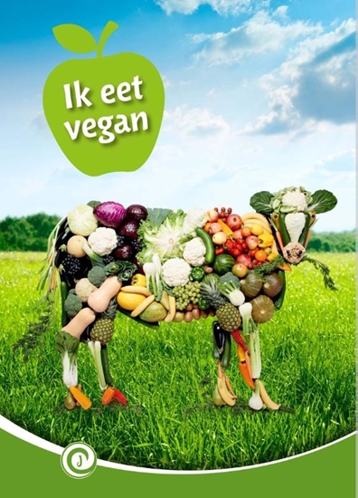 Afbeelding van Junior Informatie Ik eet vegan
