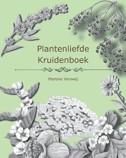 Afbeelding van Plantenliefde Kruidenboek