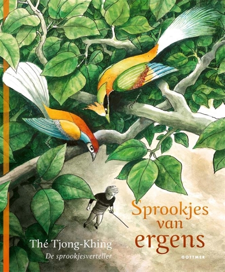 Afbeelding van De sprookjesverteller Sprookjes van ergens