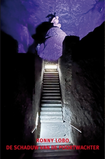 Afbeelding van De schaduw van de poortwachter