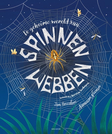 Afbeelding van De geheime wereld van spinnenwebben