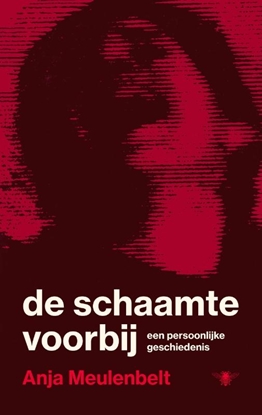 Afbeeldingen van De schaamte voorbij