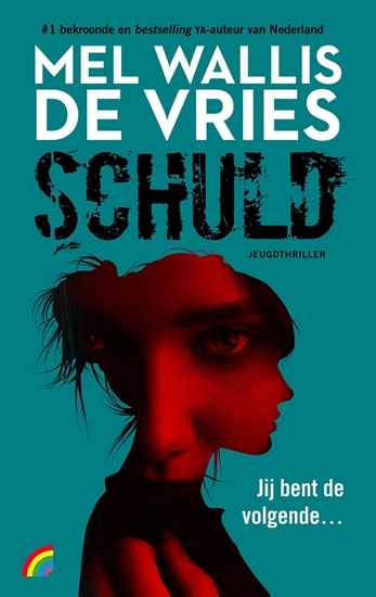 Afbeelding van Schuld