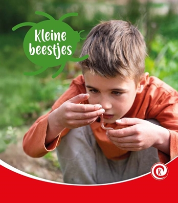 Afbeeldingen van Kijkdoos Kleine beestjes