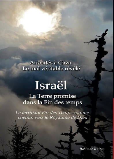 Afbeelding van Atrocités à Gaza - Le mal véritable révélé