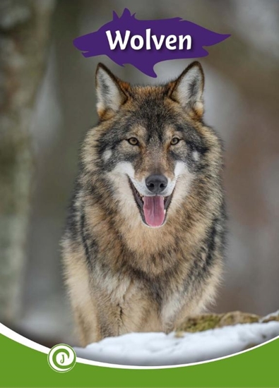 Afbeelding van Junior Informatie Wolven
