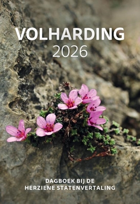 Afbeeldingen van Volharding | 2026