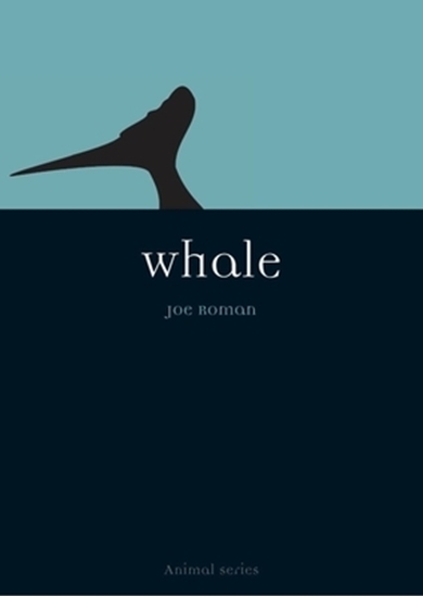 Afbeelding van Animal Whale