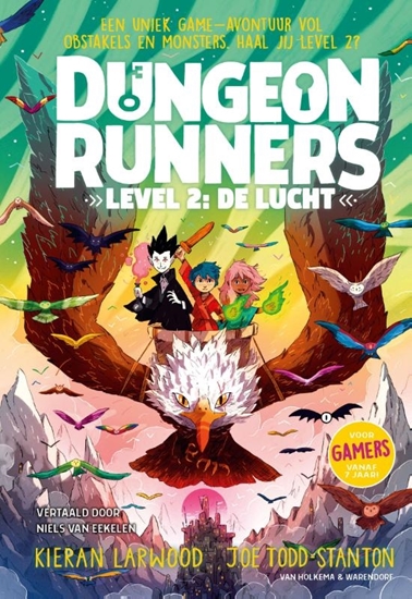 Afbeelding van Dungeon Runners Level 2: De lucht