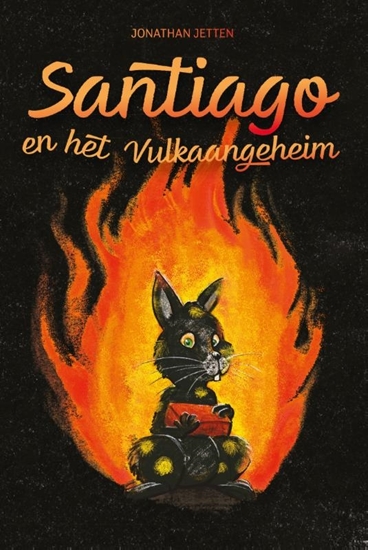 Afbeelding van Santiago en het Vulkaangeheim