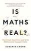 Afbeelding van Is Maths Real?