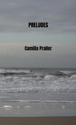 Afbeeldingen van 9789403813417