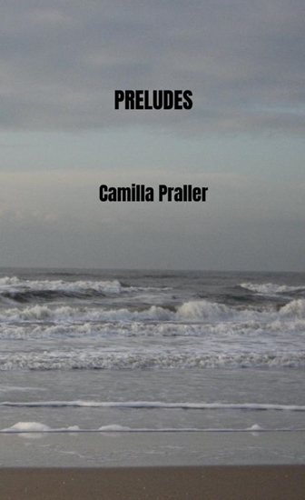 Afbeelding van 9789403813417